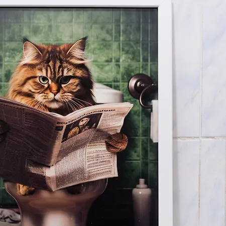 Rosa Homes The - 2 Rooms, Air Conditioning, Principe, Acquario, Porto Antico * ジェノヴァ